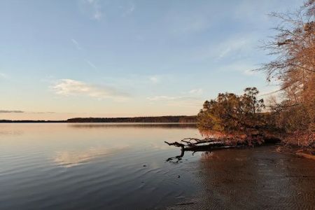 Chickahominy wildlife Management