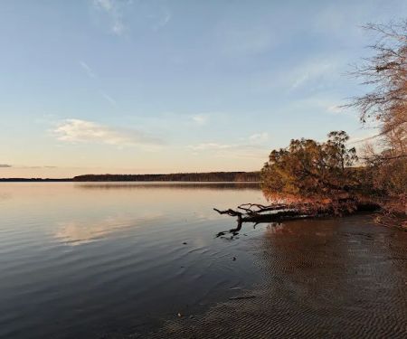 Chickahominy wildlife Management