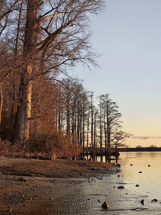 Chickahominy wildlife Management 2