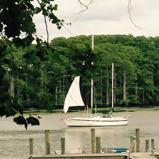 Riverside Camp and Marina 2