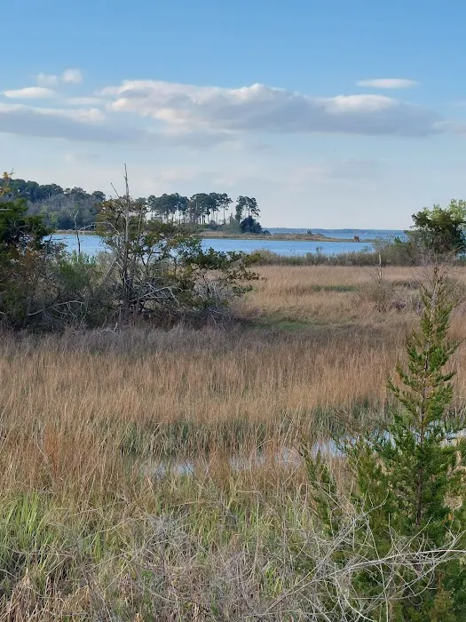 Naval Weapons Station Yorktown - Cheatham Annex Recreation Area 9