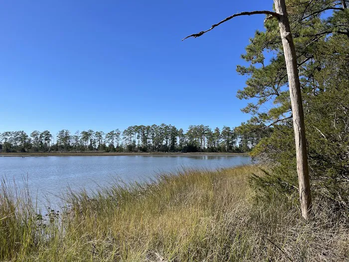 Machicomoco State Park Campground 1