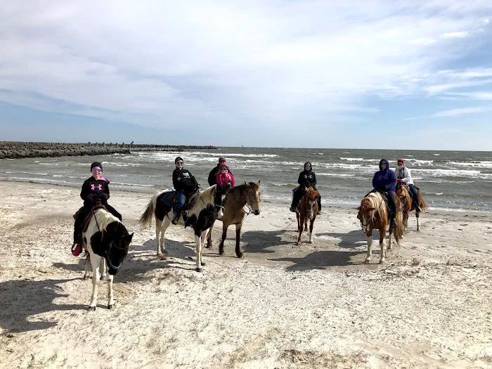 Cedar Island Ranch 6