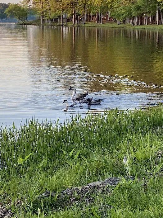 Archusa Creek Park 9