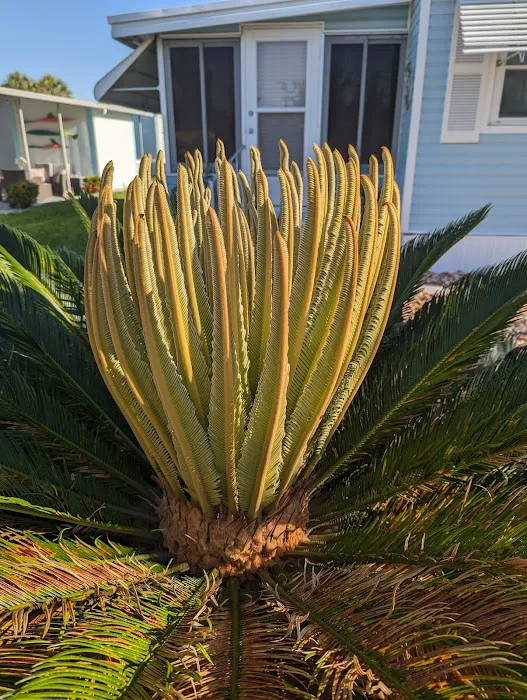 Seabreeze Mobile Estates 3
