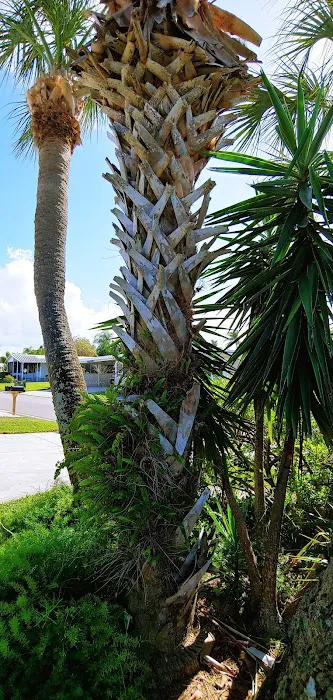 Seabreeze Mobile Estates 8