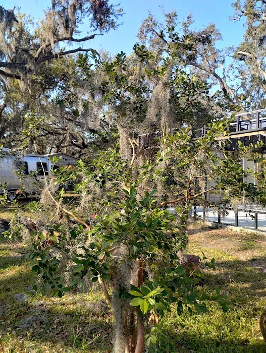 Dream Lake Farm Camp 8