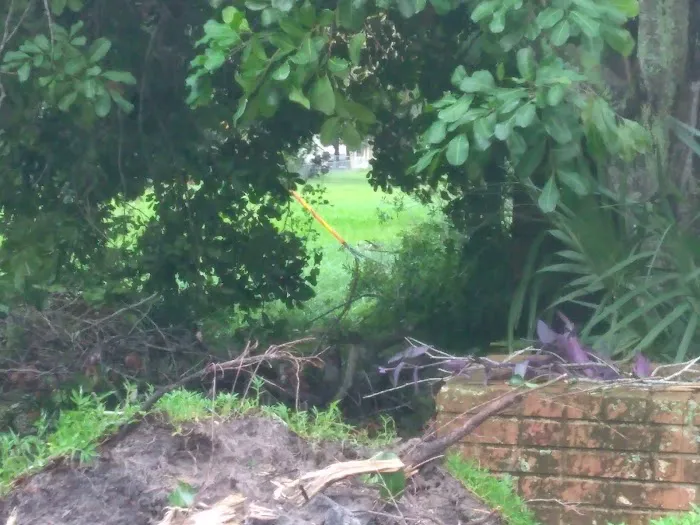 The Winds of St. Armands South 10