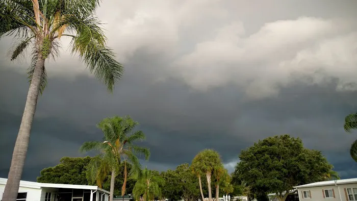 The Winds of St. Armands South 7