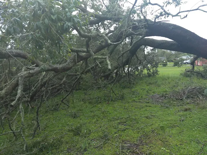 The Winds of St. Armands South 9