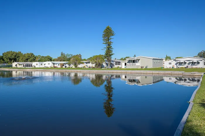 Terra Palms 55+ Lifestyle Community 5