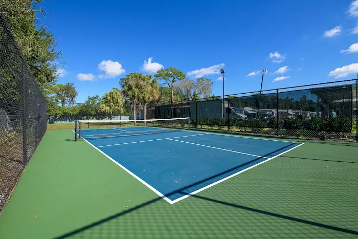 Terra Palms 55+ Lifestyle Community 4