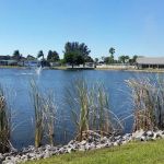 Swan Lake Village Community