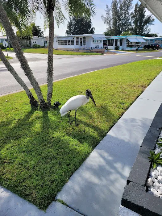 Swan Lake Village Community 8