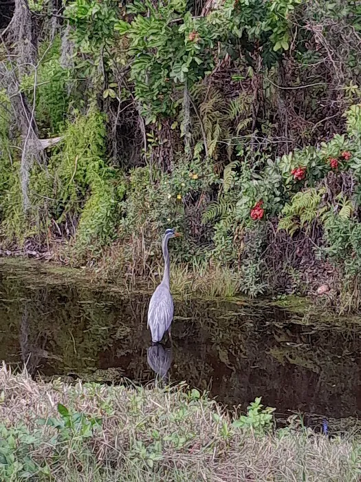Swan Lake Village Community 9