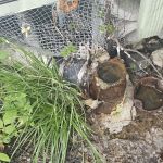 Tradewinds Mobile Home Park