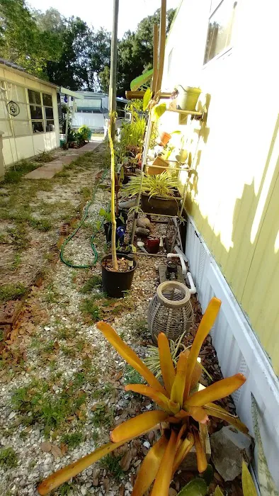 Sunny Acres 6