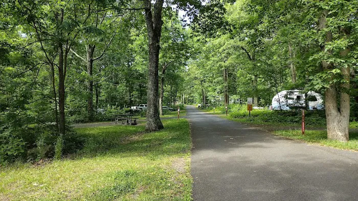 Mathews Arm Campground 5