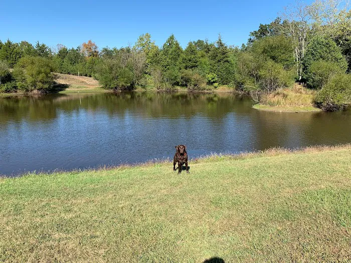 The Retreat at Shenandoah Meadows 3