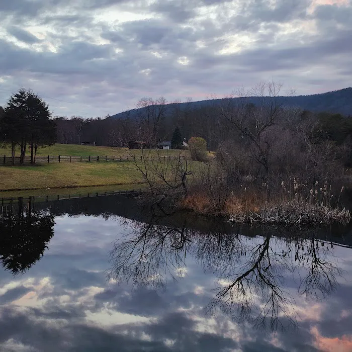 The Retreat at Shenandoah Meadows 10