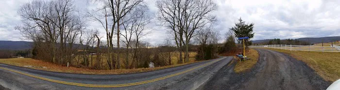 US Forestry Department 4