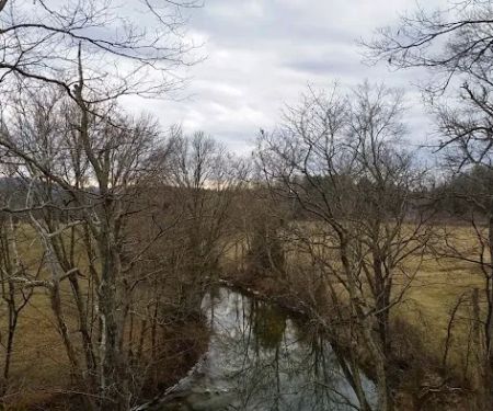 US Forestry Department