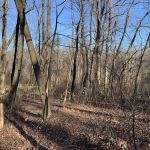 Mosby Campsite