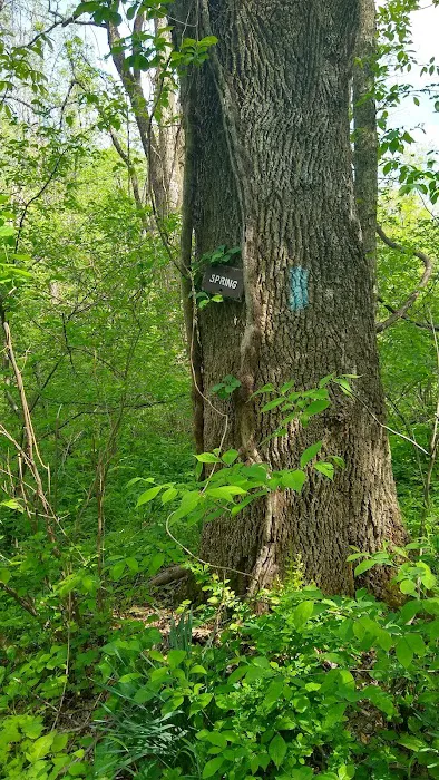 Mosby Campsite 8