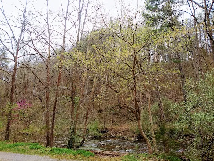Gooney Creek Campgrounds 6