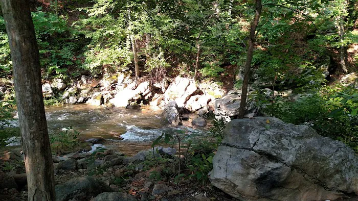 Gooney Creek Campgrounds 10