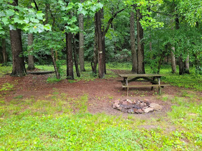Rappahannock River Campground 5