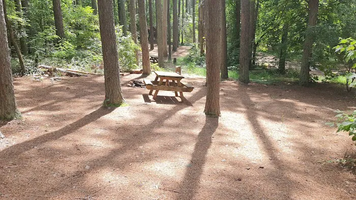 Rappahannock River Campground 8