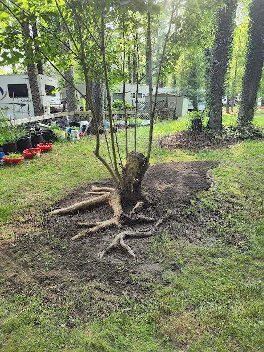 Big Timber Campground 6