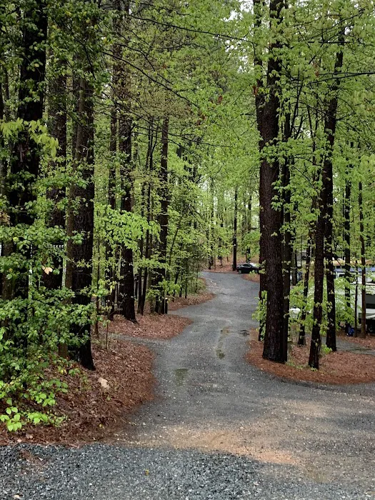 Aquia Pines Camp Resort 5