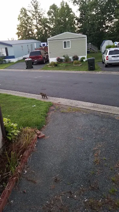 Foxwood Village 2