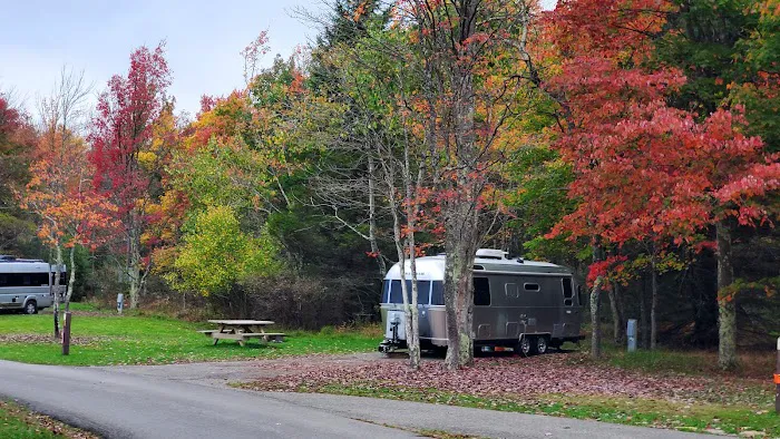 Blackwater Falls Campground 1