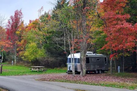 Blackwater Falls Campground