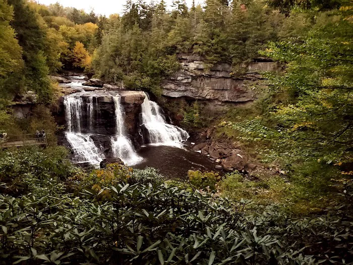 Blackwater Falls Campground 3
