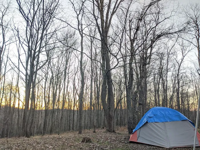 Blackwater Falls Campground 6