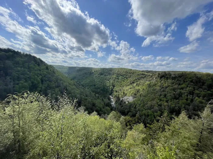Blackwater Falls Campground 5