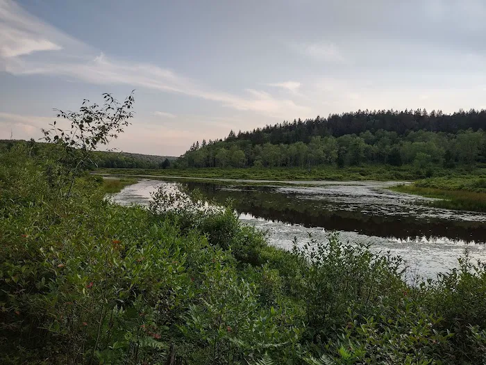 Blackwater Falls Campground 10