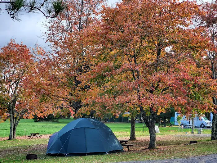 Restrite Campground 2