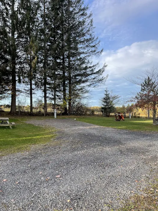 Restrite Campground 3