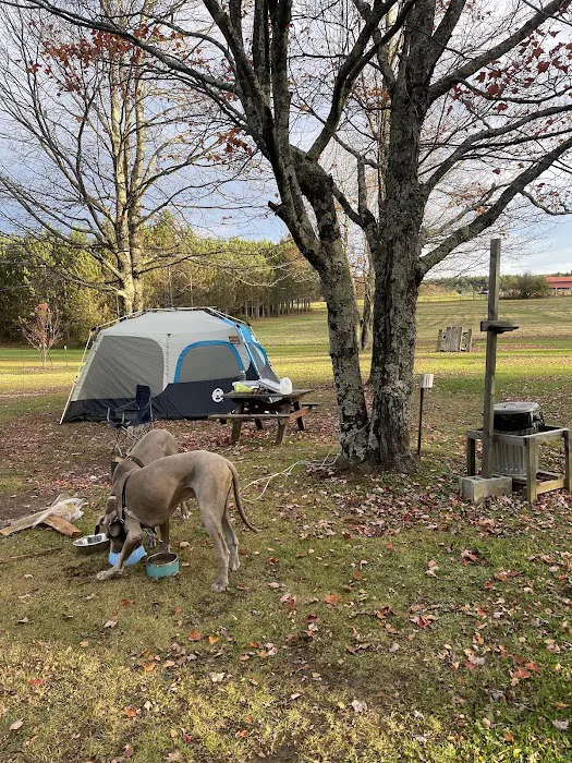 Restrite Campground 6