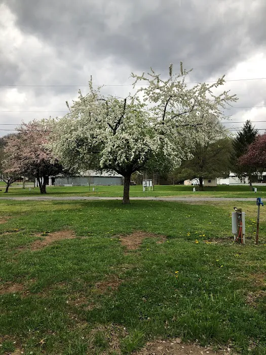 Five River Campgrounds 2
