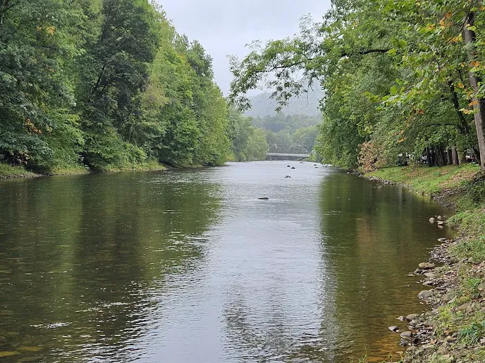 Five River Campgrounds 10