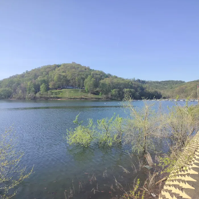 Tygart Lake State Park Campground 3
