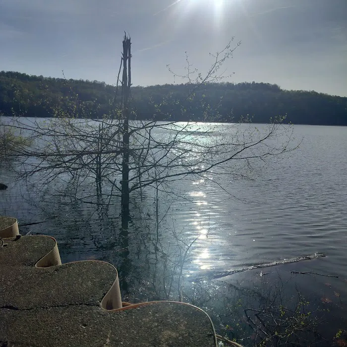 Tygart Lake State Park Campground 2