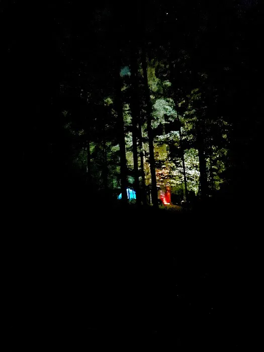 Tygart Lake State Park Campground 7