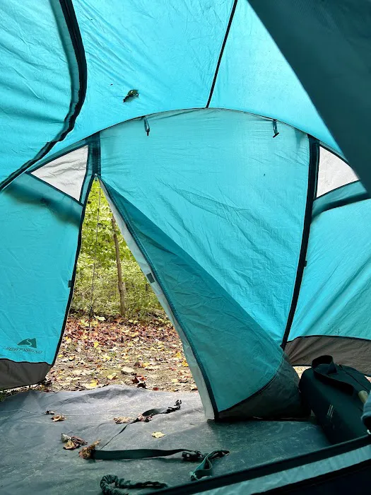 Tygart Lake State Park Campground 5